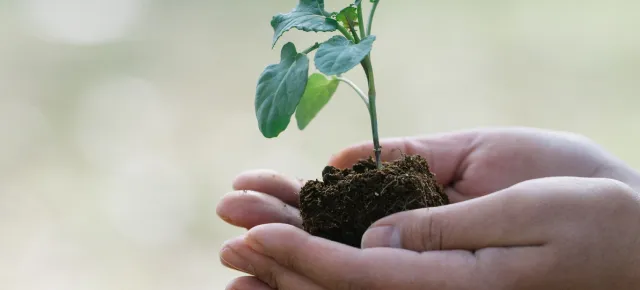 サステナブル樹脂(バイオマス・リサイクル)