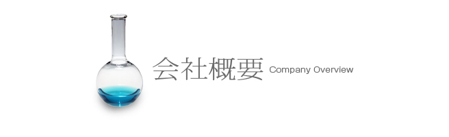 会社概要(Company Overview)